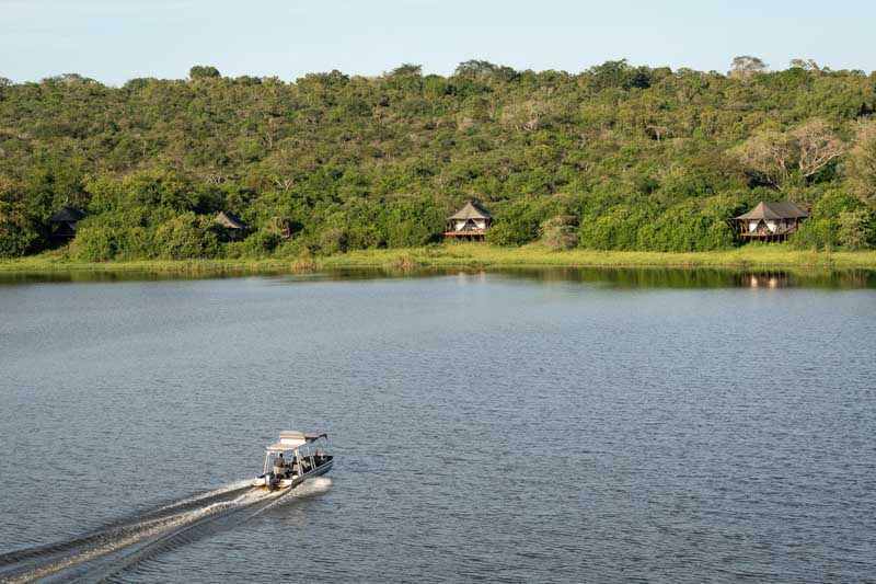 Zimbabwe-safari especial-VFA